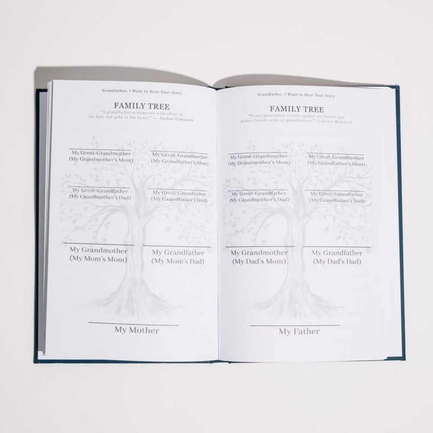 Grandfather story Journal